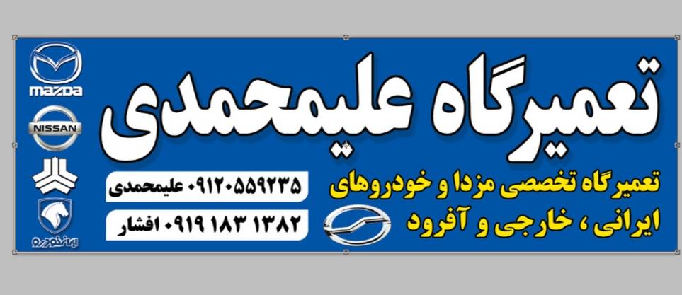 علیرضا علیمحمدی 